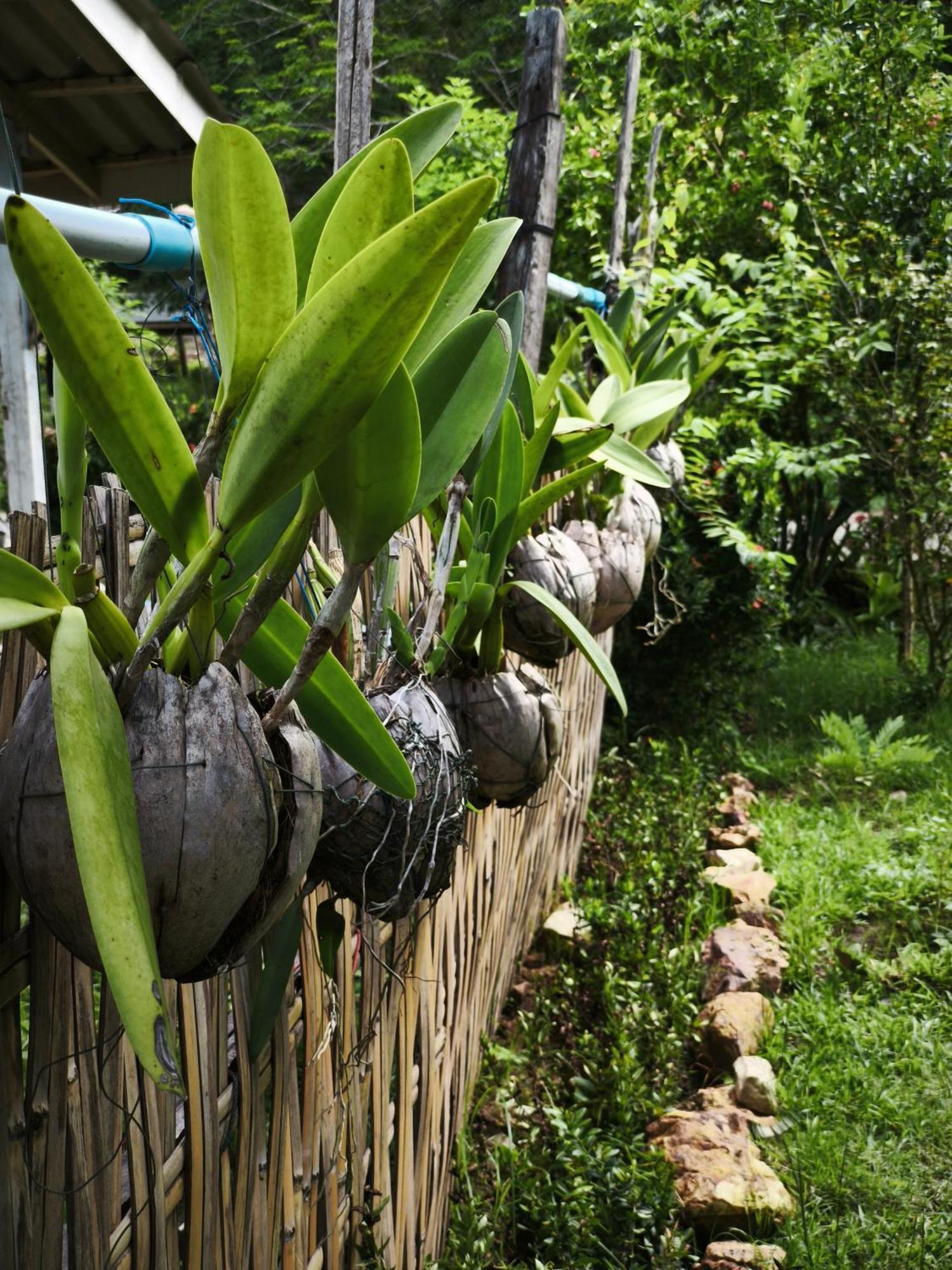 The Secret Garden Homestay Koh Yao Yai Ko Yao Yai Exterior photo